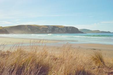 Sandee Catlins Beach