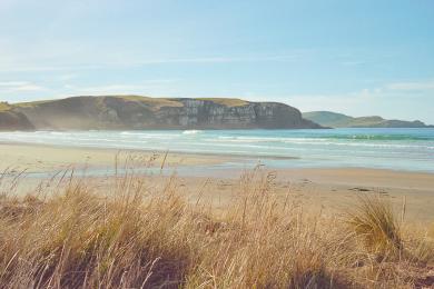 Sandee Catlins Beach Photo