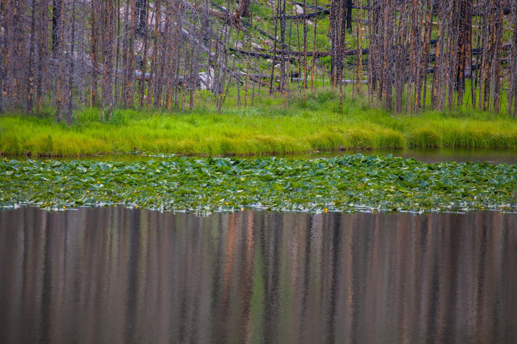 Sandee - Rocky Mountain National Park