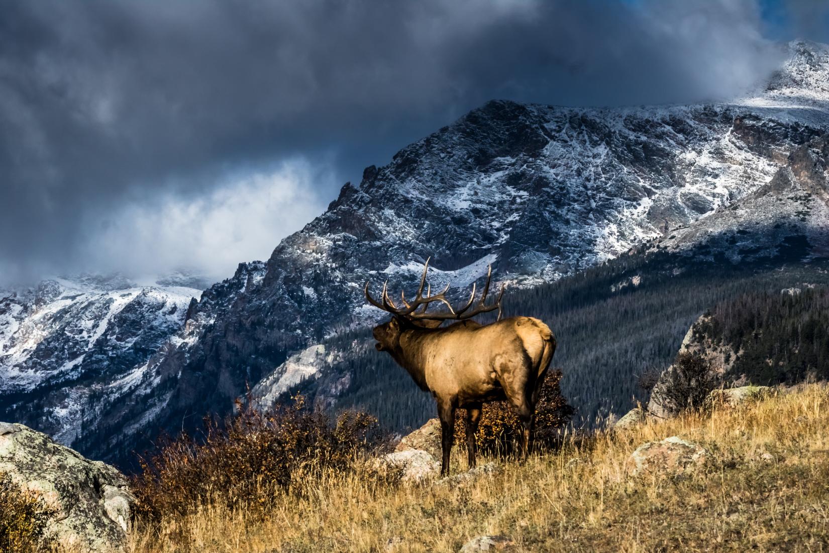 Sandee - Rocky Mountain National Park