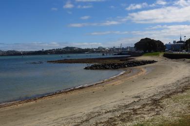 Sandee - Devonport