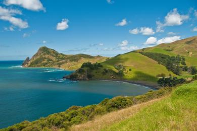 Sandee Fletcher Bay
