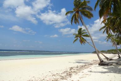 Sandee Bara Beach Photo