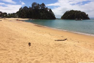 Sandee - Kaiteriteri Beach