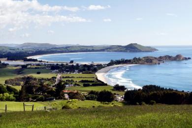 Sandee Karitane Beach Photo