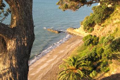 Sandee Ladies Bay Beach