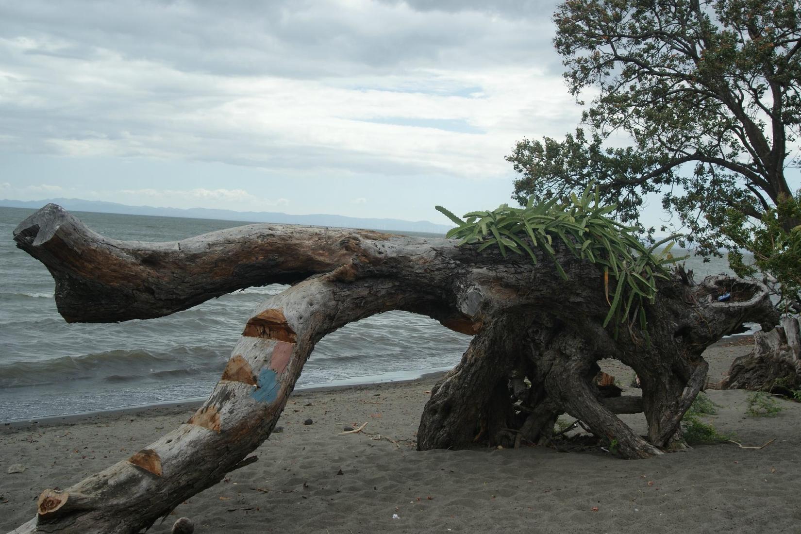 Sandee - Playa Santa Martha