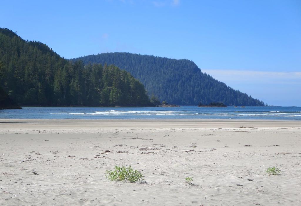 Sandee San Josef Bay Photo