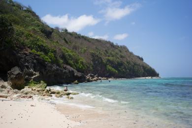 Sandee Green Bowl Beach