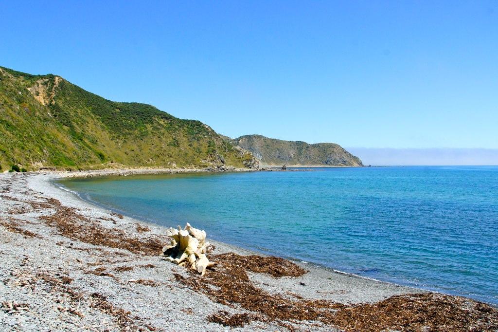 Sandee Makara Beach
