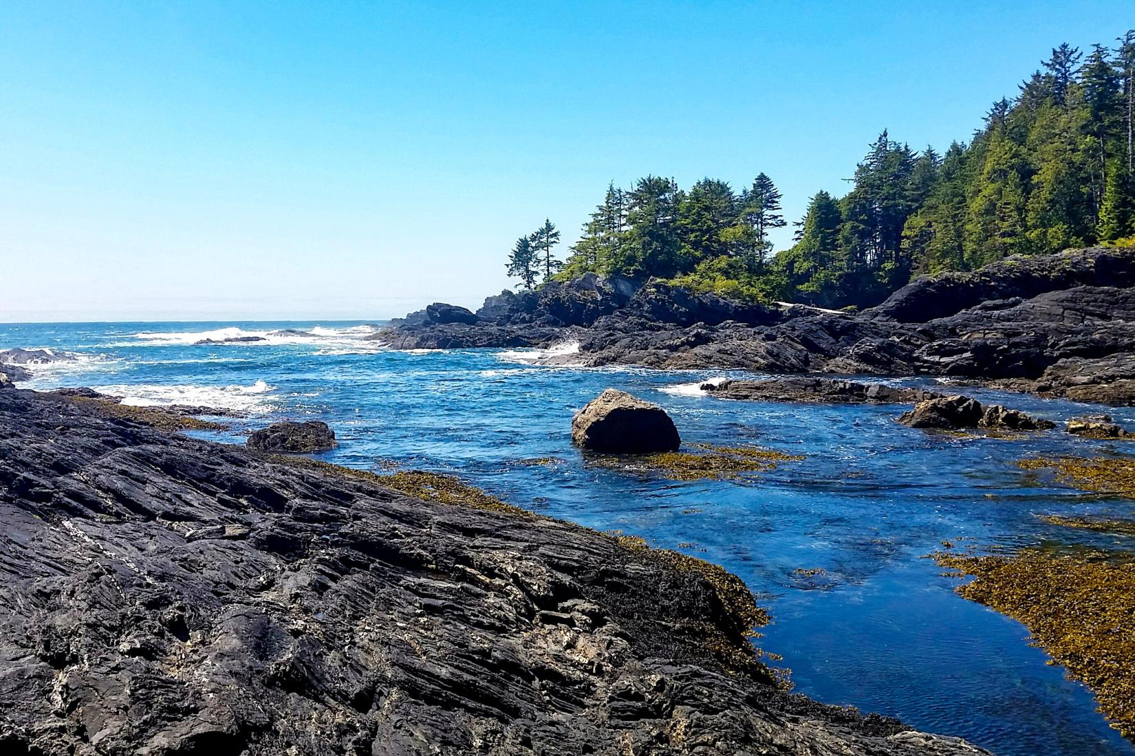 Sandee - HomePage / Juan de Fuca Electoral Area