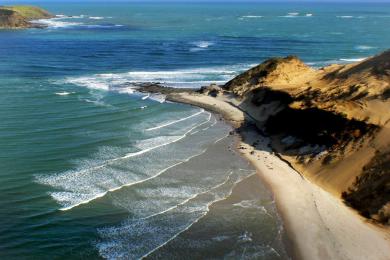Sandee Mitimiti Beach