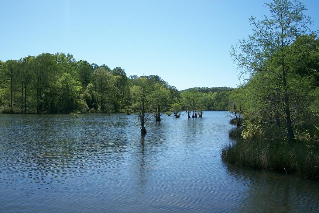 Sandee Broken Bow Lake Photo