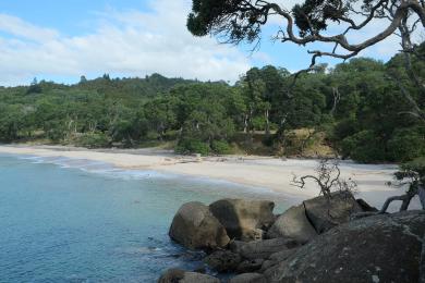 Sandee Orokawa Scenic Reserve