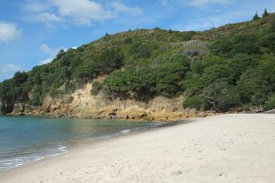 Sandee - Orokawa Scenic Reserve