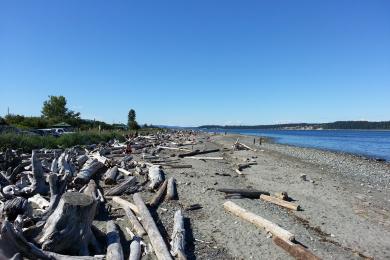 Sandee - Island View Beach