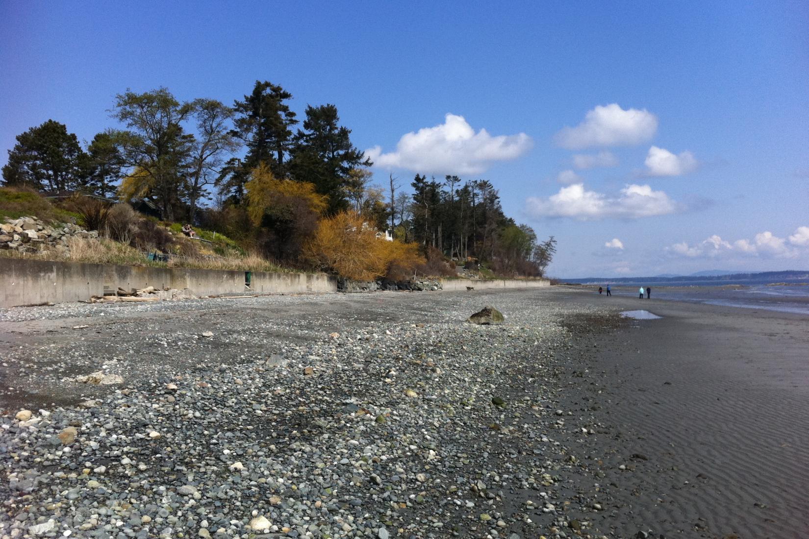 Sandee - Cordova Bay Beach