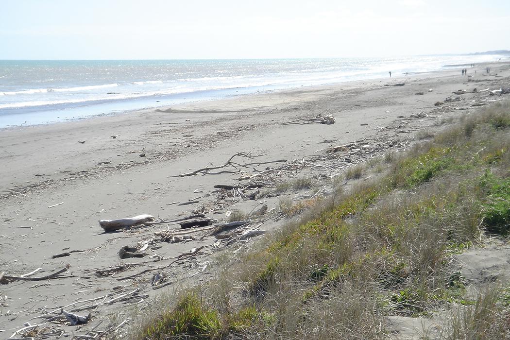 Sandee Peka Peka Beach