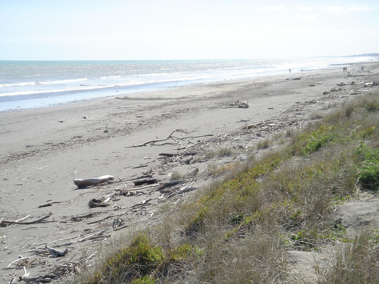 Sandee - Peka Peka Beach