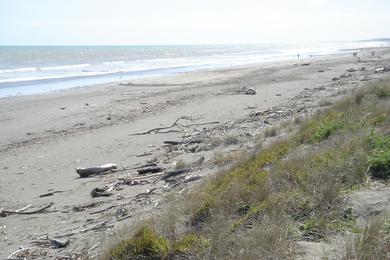 Sandee Peka Peka Beach