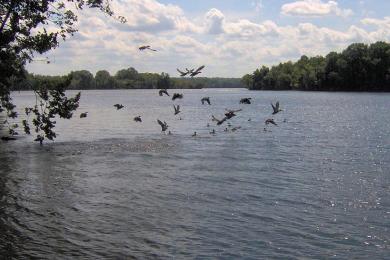 Sandee Old Hickory Lake