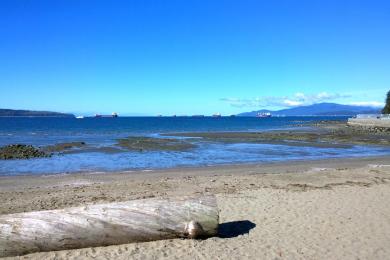 Sandee Second Beach