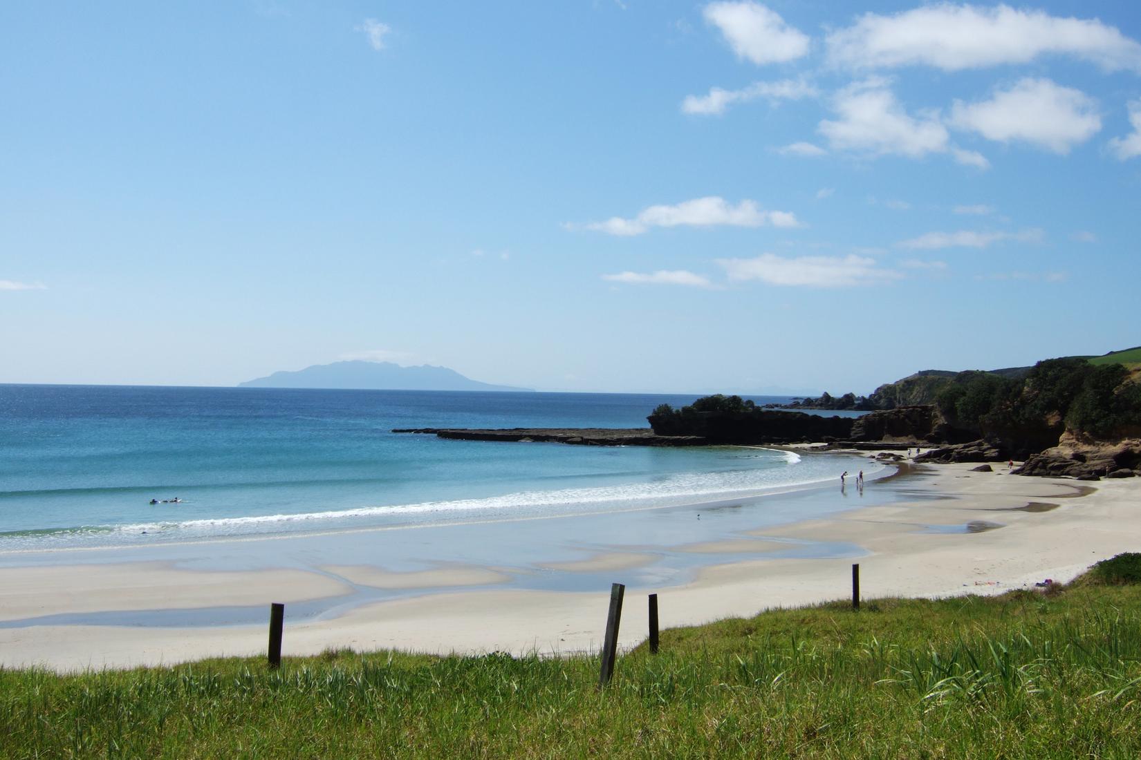 Sandee - Tawharanui Peninsula Beach