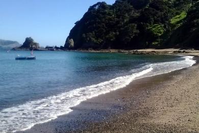 Sandee Tapeka Point Beach