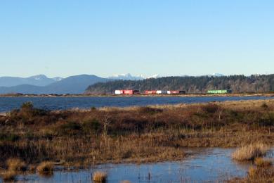 Sandee Iona Beach Park