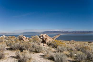 Sandee - Antelope Island