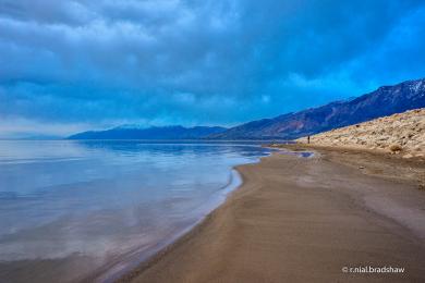 Sandee Willard Bay