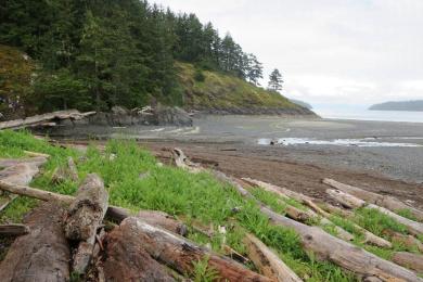 Sandee Beaver Harbour Park Photo