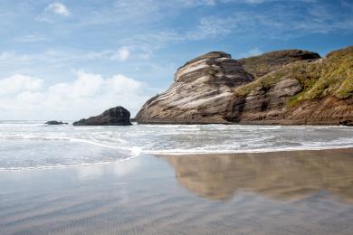 Sandee Wharariki Beach