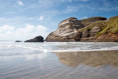 Sandee Wharariki Beach Photo