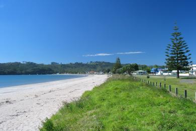 Sandee Whitianga Beach