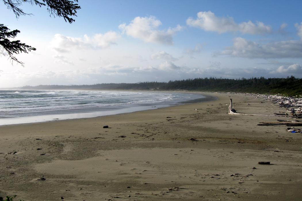Sandee Wickaninnish Beach