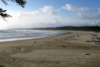 Sandee Wickaninnish Beach