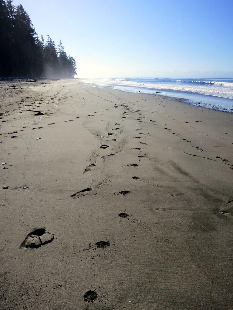 Sandee - China Beach