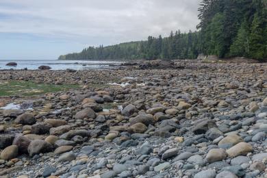 Sandee - Sombrio Beach