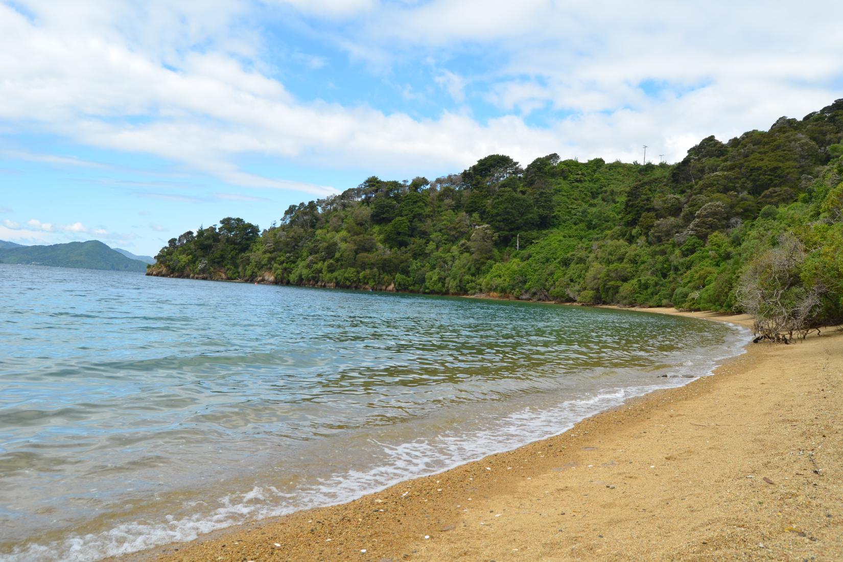 Ngakuta Bay Photo - Sandee