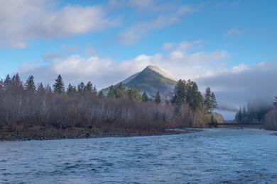 Sandee Quinault Beach Photo