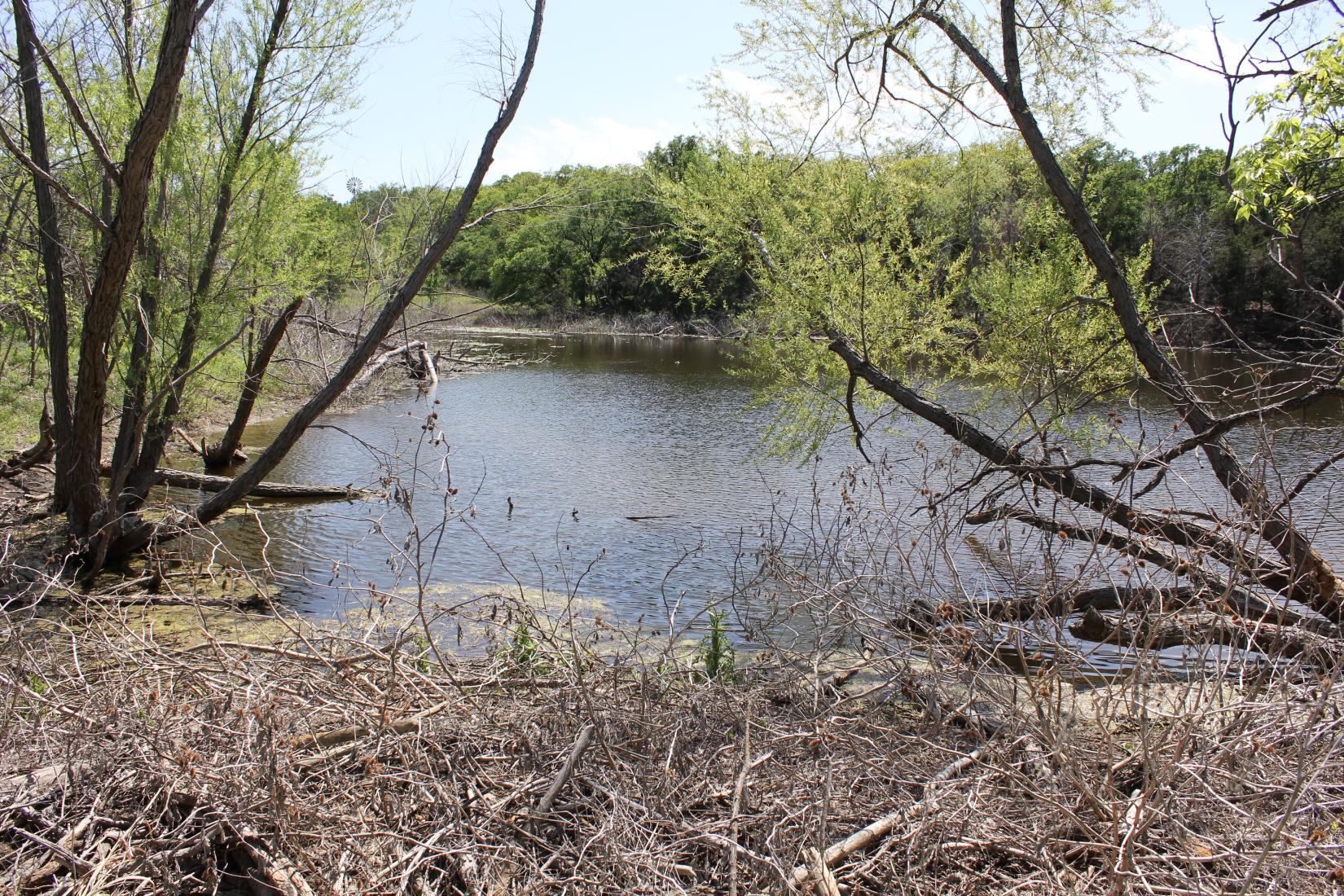 Sandee - Cedar Hill State Park