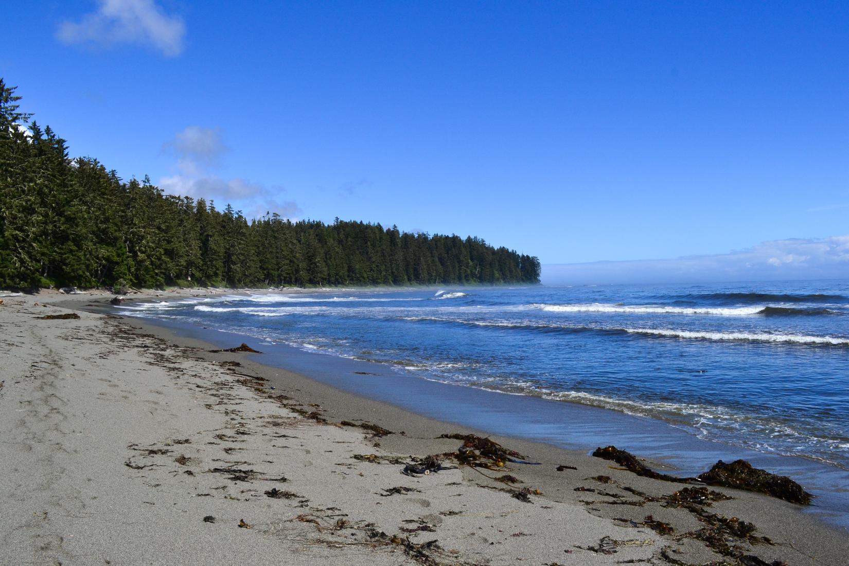 Sandee - Bomford Trail Beach