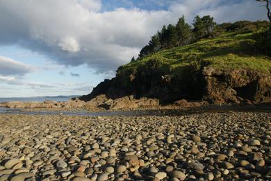 Sandee Kennedy Bay