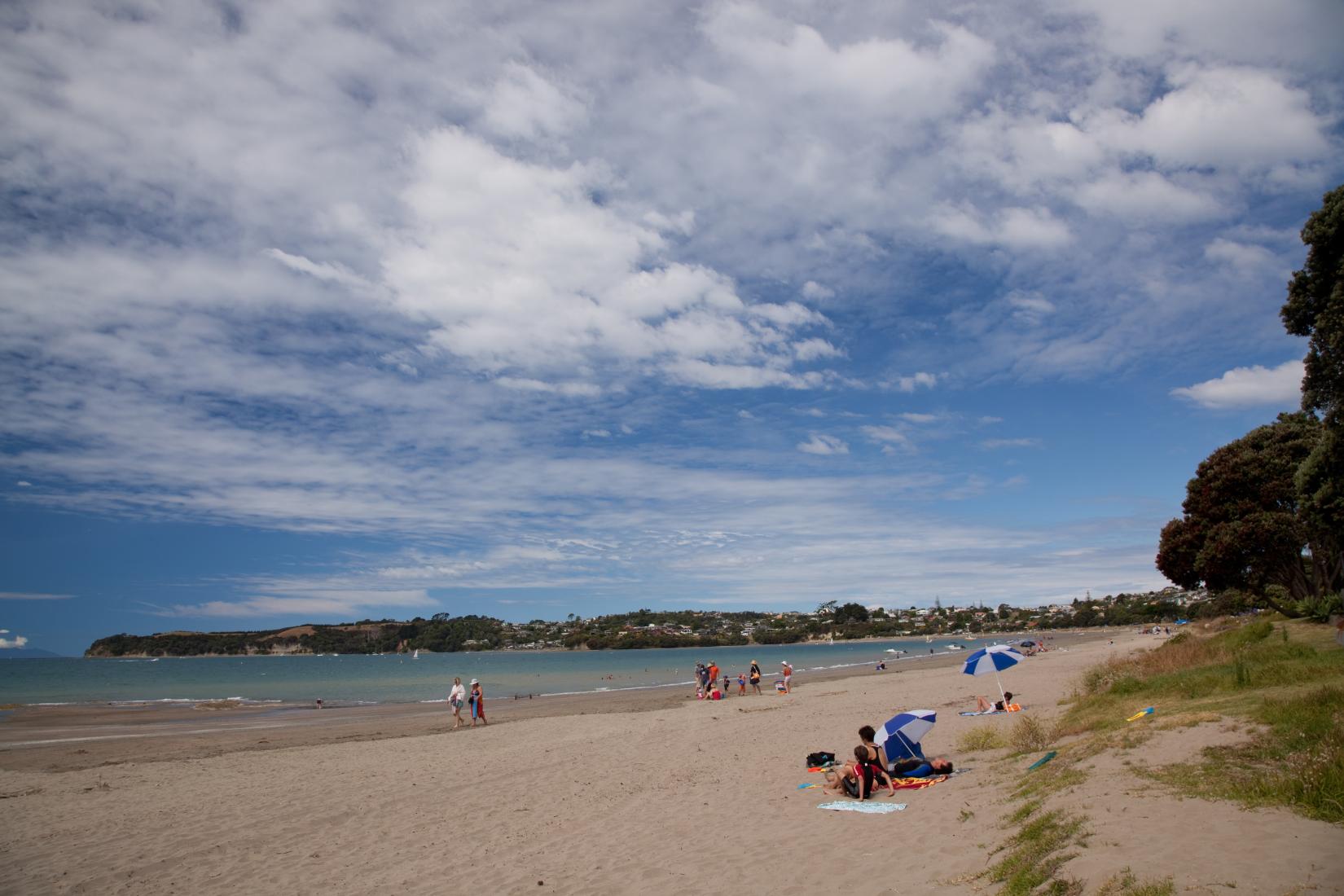 Sandee - Big Manly Beach