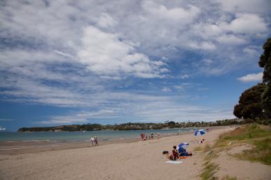 Sandee Big Manly Beach