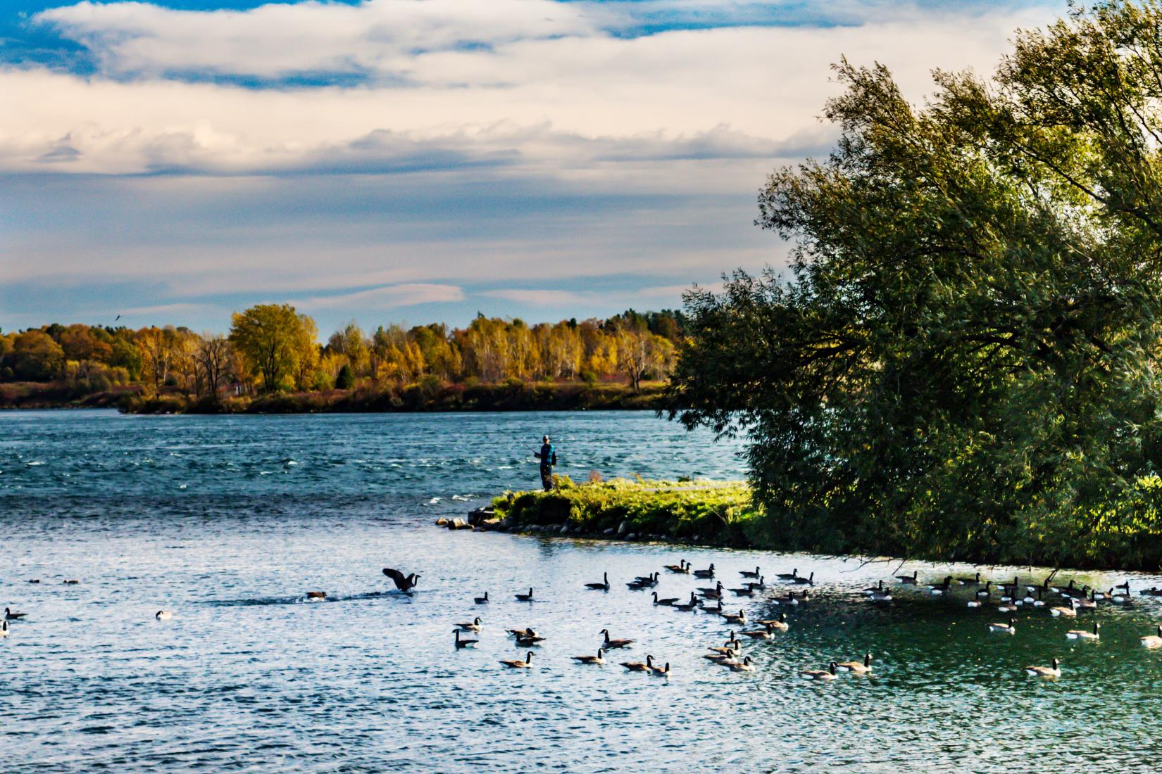 Sandee - Glengarry Park