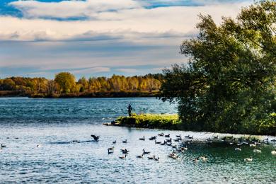 Sandee Glengarry Park