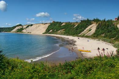 Sandee Sandy Cove Beach