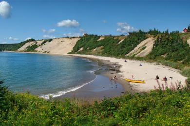 Sandee Sandy Cove Beach Photo